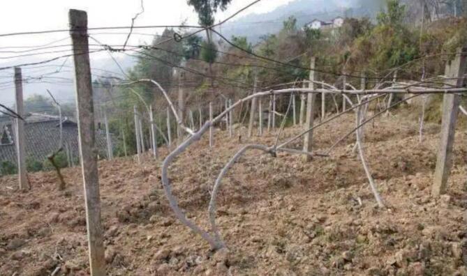 1720080895137449.jpg QQ截图20240704155926.jpg