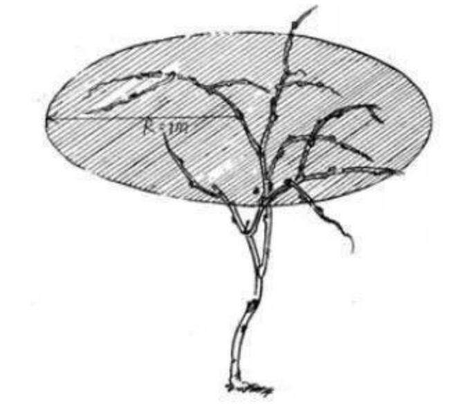 1720080922691700.jpg QQ截图20240704155942.jpg