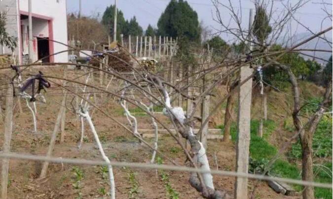 1720080940381346.jpg QQ截图20240704155952.jpg