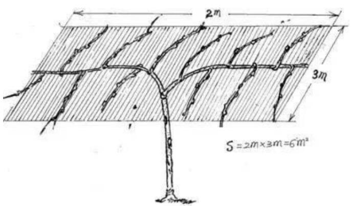 1720081005359691.jpg QQ截图20240704160007.jpg