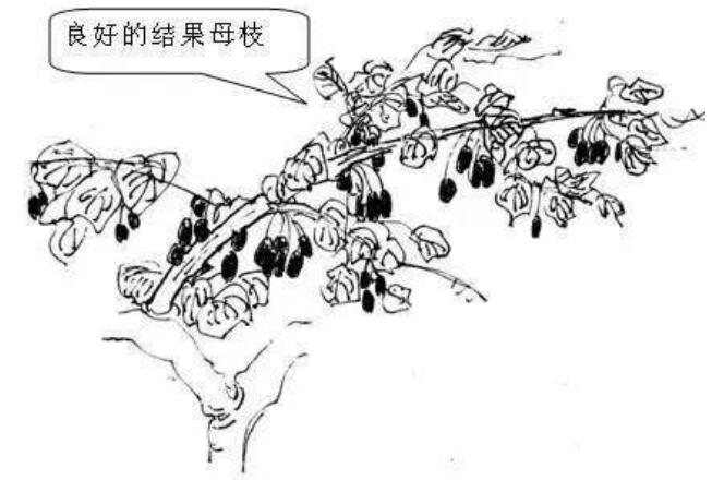 1720081017644193.jpg QQ截图20240704160022.jpg