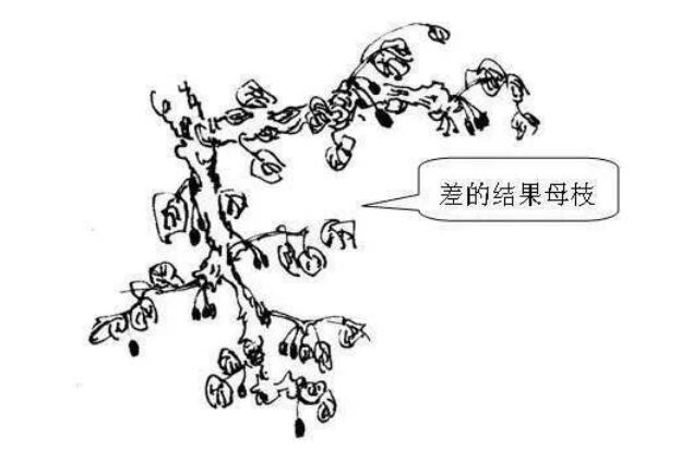 1720081048550852.jpg QQ截图20240704160044.jpg