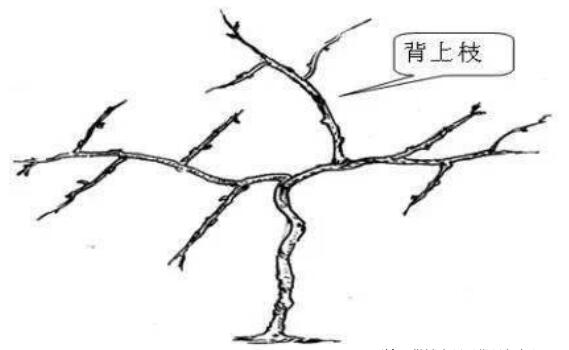 1720081067743485.jpg QQ截图20240704160102.jpg