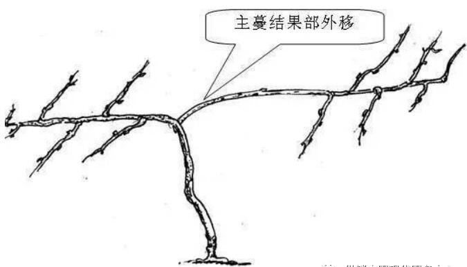 1720081093546595.jpg QQ截图20240704160117.jpg