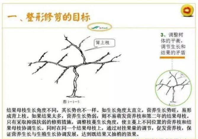 1720081126332191.jpg QQ截图20240704160134.jpg