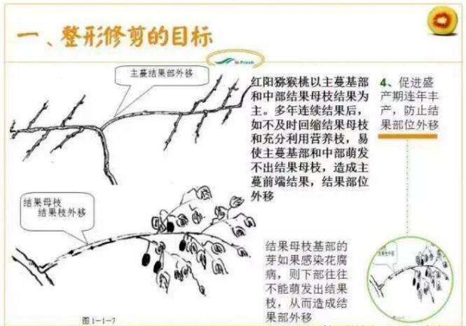 1720081140322528.jpg QQ截图20240704160152.jpg