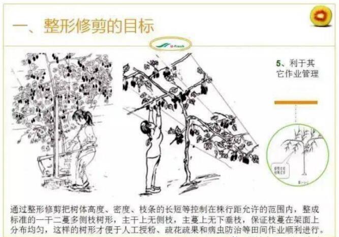 1720081152434980.jpg QQ截图20240704160206.jpg