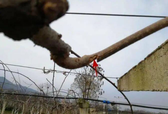 1720081241370000.jpg QQ截图20240704160234.jpg