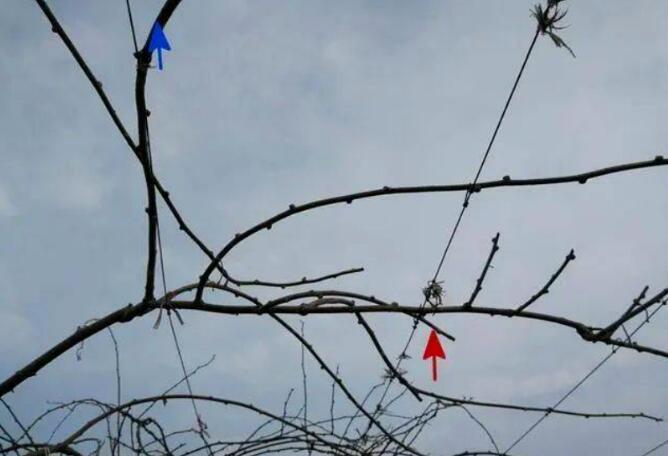 1720081277282954.jpg QQ截图20240704160245.jpg