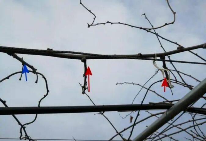 1720081314759001.jpg QQ截图20240704160256.jpg