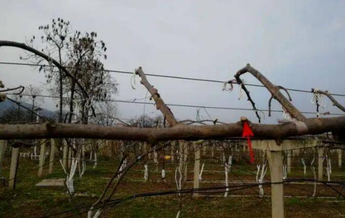 1720081353573315.jpg QQ截图20240704160309.jpg