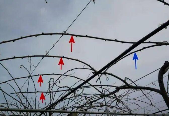 1720081378366201.jpg QQ截图20240704160322.jpg