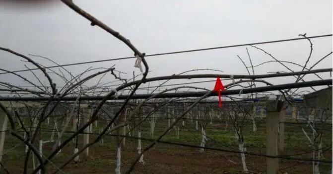 1720081417347039.jpg QQ截图20240704160336.jpg