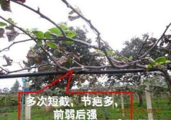 1720081453152504.jpg QQ截图20240704160357.jpg