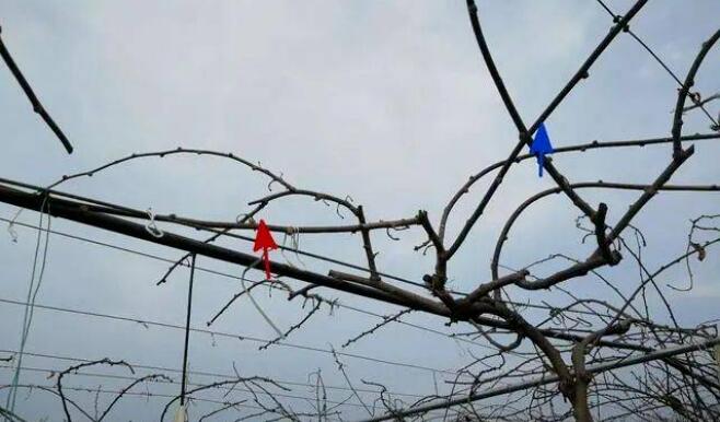 1720081489488546.jpg QQ截图20240704160410.jpg