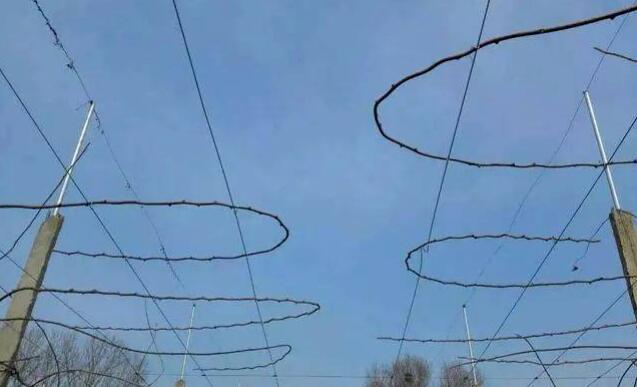 1720081526597461.jpg QQ截图20240704160427.jpg