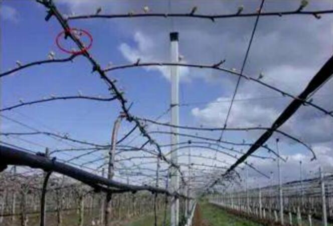 1720081572838974.jpg QQ截图20240704160438.jpg