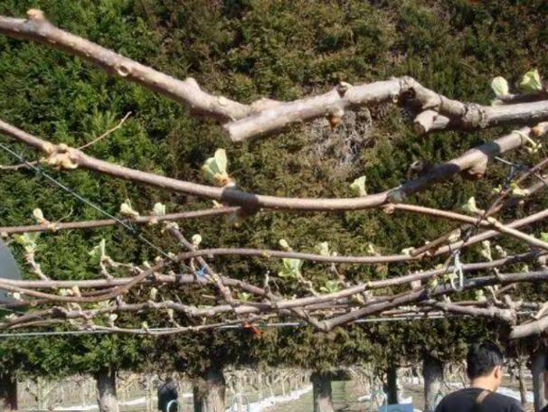 1720081608918835.jpg QQ截图20240704160506.jpg