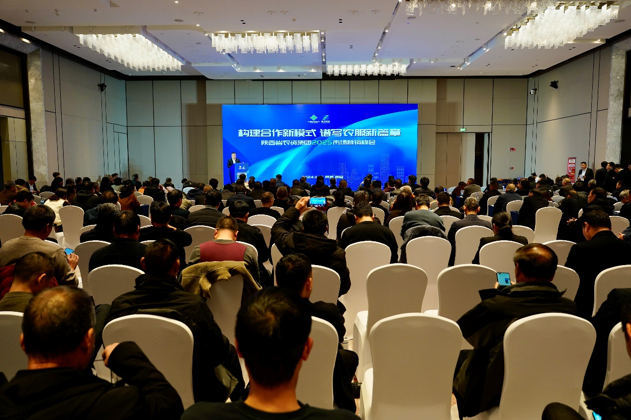 1732776211194860.png 1.png