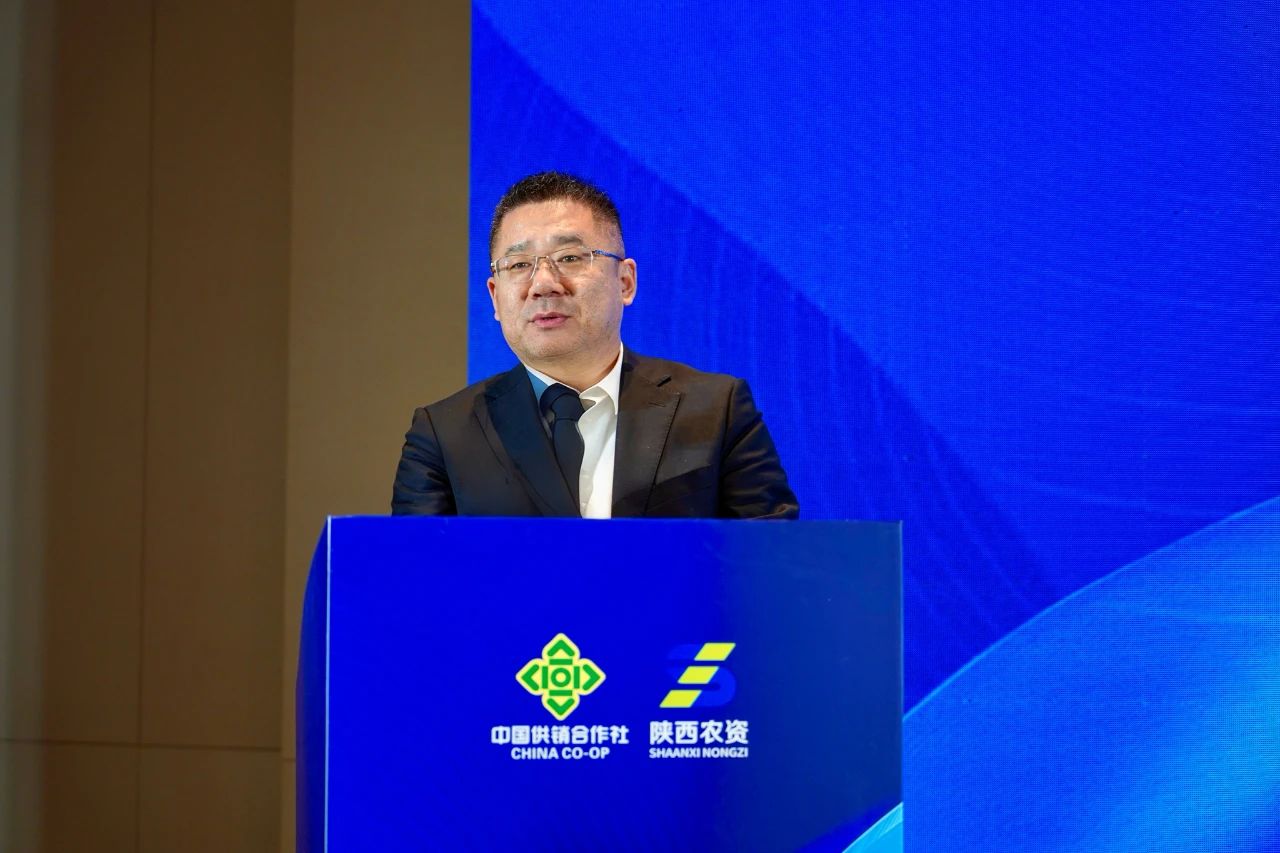 1732776217999108.jpg 2.jpg