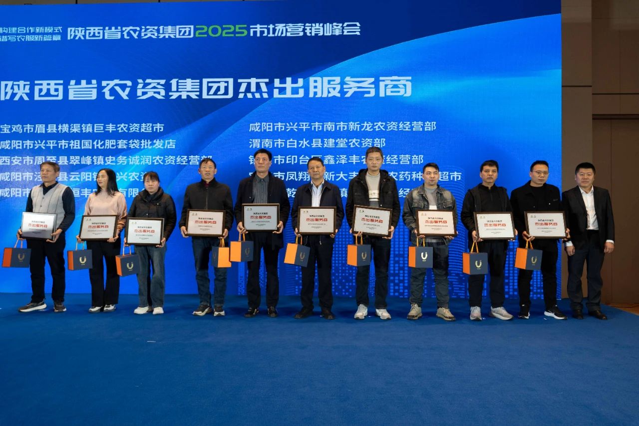 1732776229607845.jpg 4.jpg