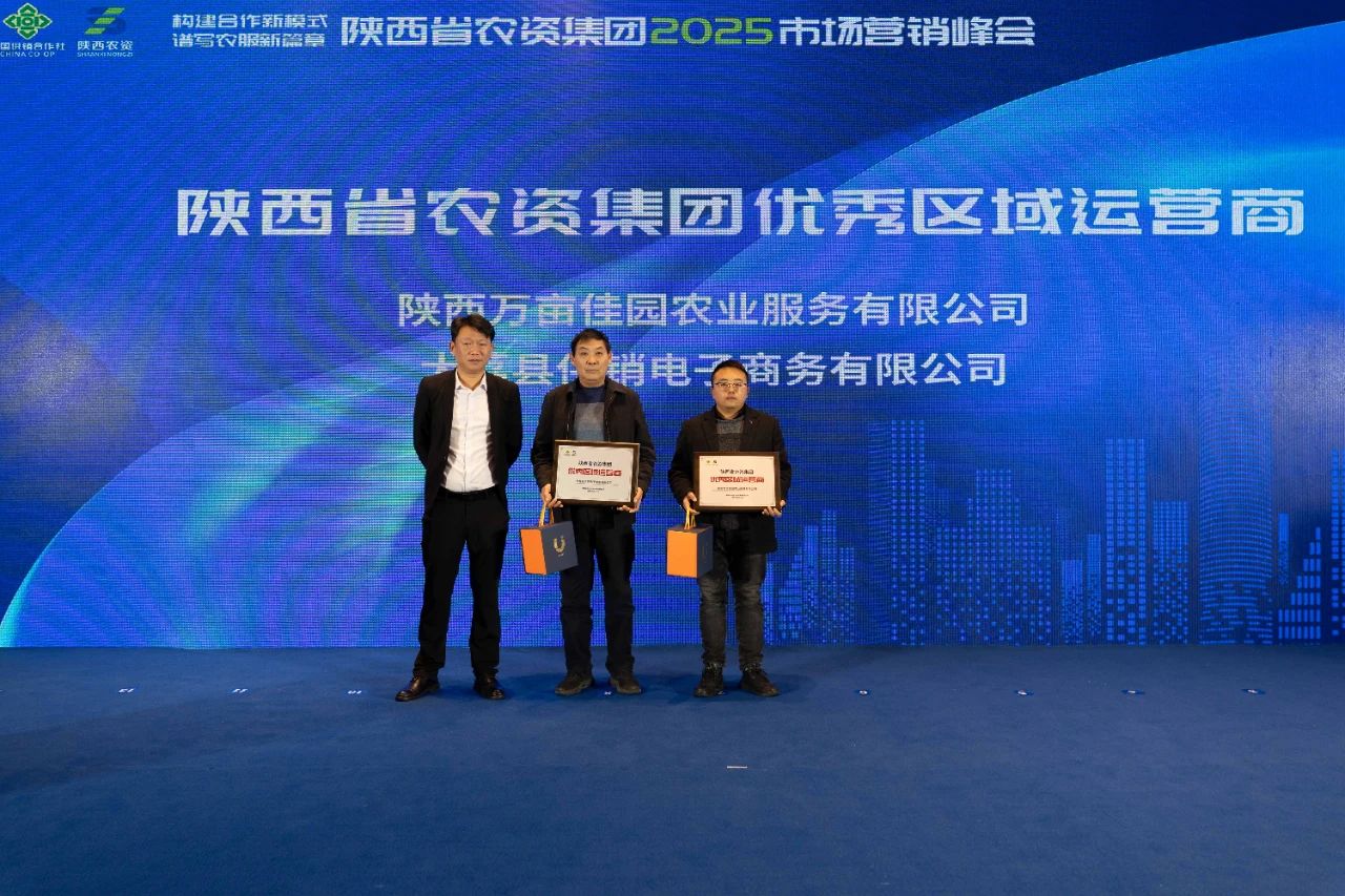 1732776234198357.jpg 5.jpg